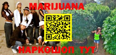 индика Нягань