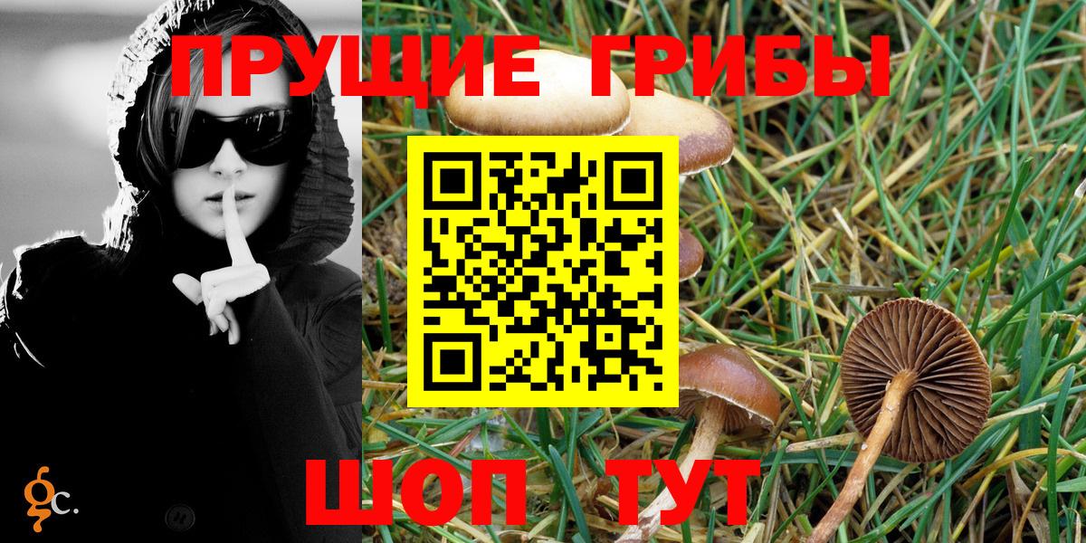 Псилоцибиновые грибы Psilocybine cubensis  дарнет шоп  Усинск  Вход с VPN 