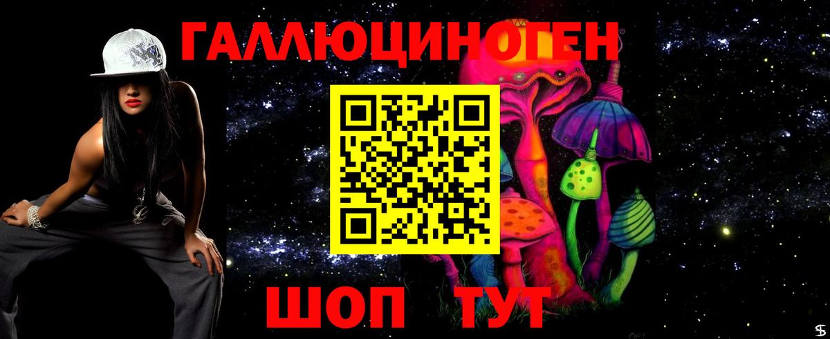Галлюциногенные грибы Psilocybe Усинск
